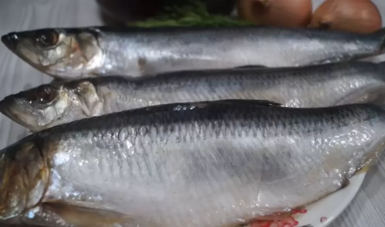 Создайте идеальную соленую селедку: домашний рецепт для вкусных застолий