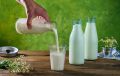 Мифы о молоке: полезность и риски, о которых стоит знать