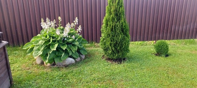 ��� ������� ������������ ��� ��� ������� ������: ������������� ������