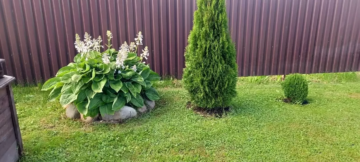 Как создать великолепный сад без больших затрат: вдохновляющие приемы