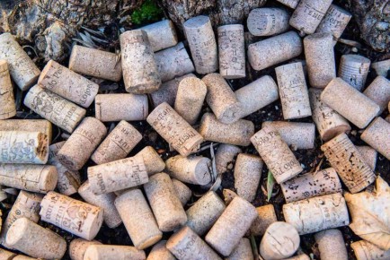 ����������� ������ ������ ������ ��� ������ ����