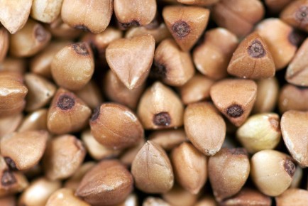 ������: ��� �������� ���� �������� ������� � ������� ��� ������� ��������