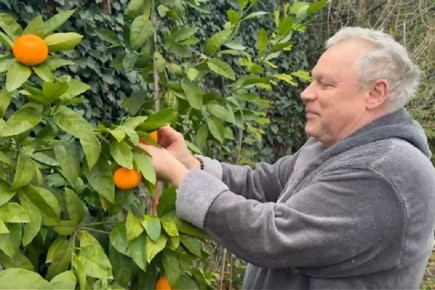 Цитрусовый рай в Крыму: Сергей Жигунов радует сладкими мандаринами