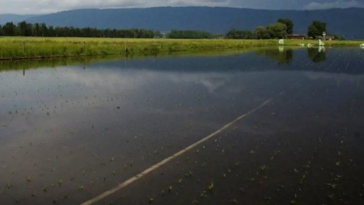 ��� ������� ������ � ��������� ����������� �� ������ ���������� � �������������