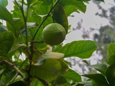 �������� ���� ��� ������ ���������? ��� ��� ����������?