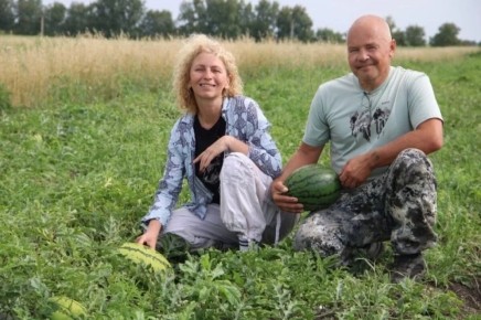 ��������� ������ ������: ��� �������� ����� �������� �����