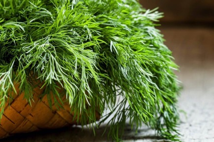 ������������ ������ �������� ������: ��������� ���� �� ����