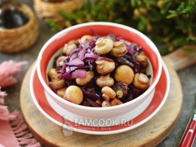 ����� � ������� �����: ������� ������� ������� � �������� ���������� � �������