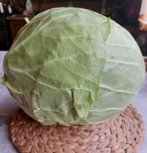 ������� � ����� �������: ������� � ��������