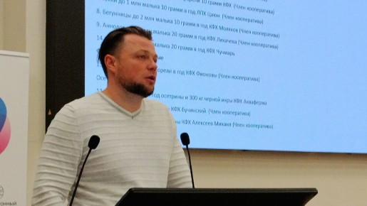 ������ ��������: ��� ����� ���������� ������� �������