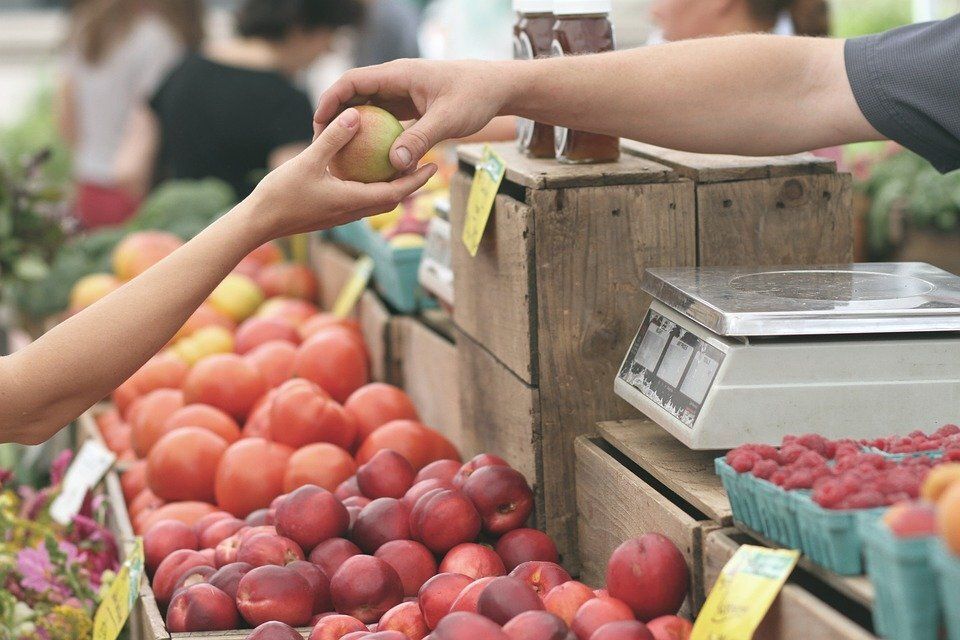 Почему расходы на продукты растут: факты и наблюдения