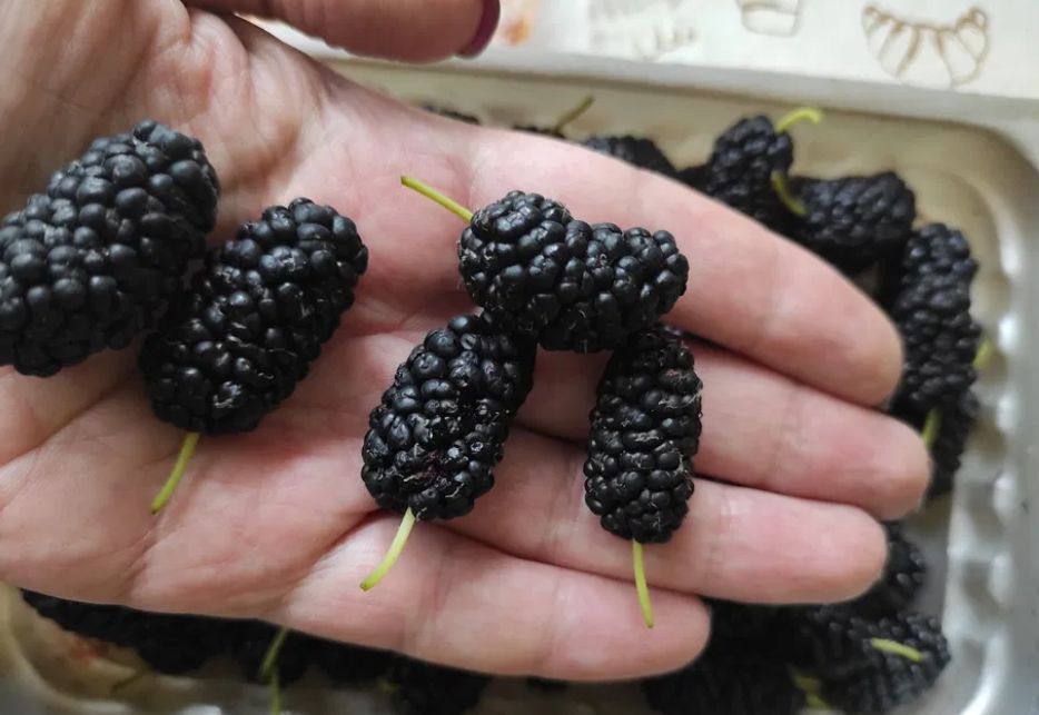 Неизвестные продукты, которые помогают защитить ДНК и бороться с раком